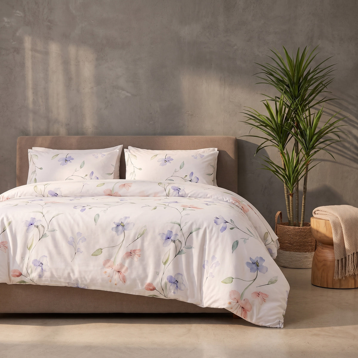 collection-banner-image
